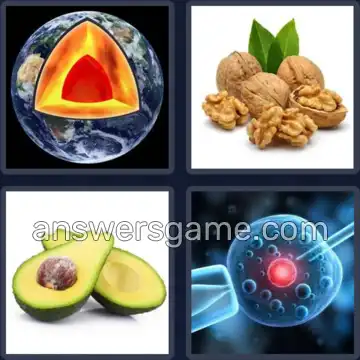 4 Bilder 1 Wort 4 Buchstaben KERN