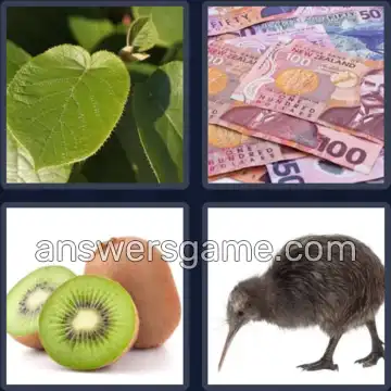 4 Bilder 1 Wort 4 Buchstaben KIWI
