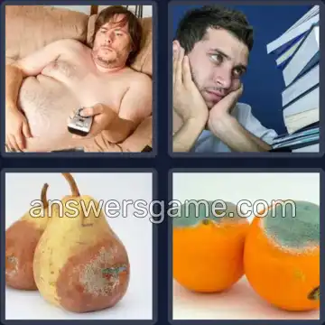 4 Bilder 1 Wort 4 Buchstaben FAUL