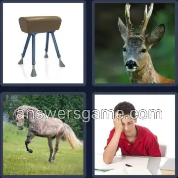 4 Bilder 1 Wort 4 Buchstaben BOCK