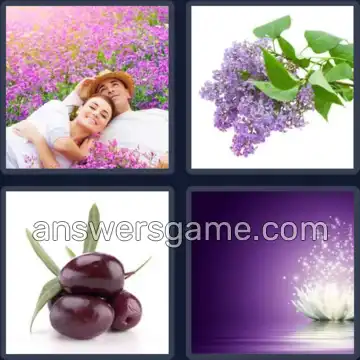 4 Bilder 1 Wort 4 Buchstaben LILA
