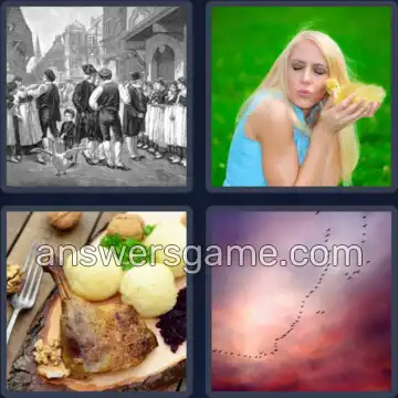 4 Bilder 1 Wort 4 Buchstaben GANS