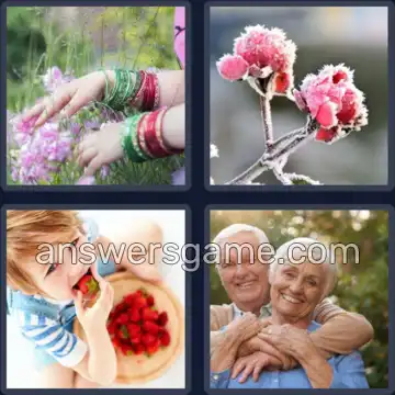 4 Bilder 1 Wort 4 Buchstaben REIF