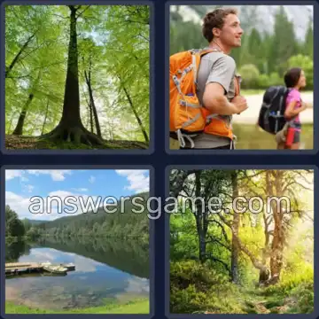 4 Bilder 1 Wort 4 Buchstaben WALD