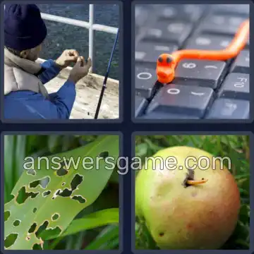 4 Bilder 1 Wort 4 Buchstaben WURM