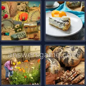 4 Bilder 1 Wort 4 Buchstaben MOHN