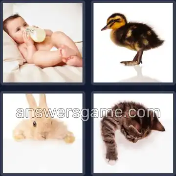 4 Bilder 1 Wort 4 Buchstaben BABY