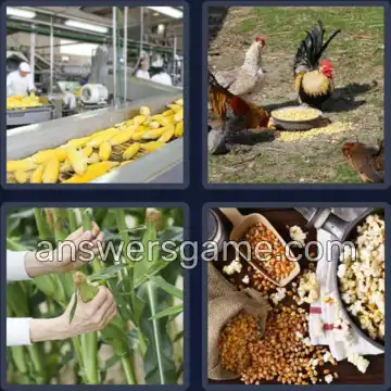 4 Bilder 1 Wort 4 Buchstaben MAIS