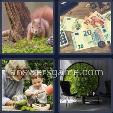 4 Bilder 1 Wort 4 Buchstaben MOOS