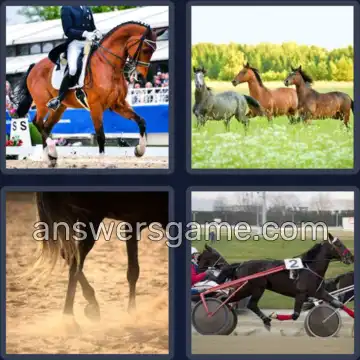 4 Bilder 1 Wort 4 Buchstaben TRAB