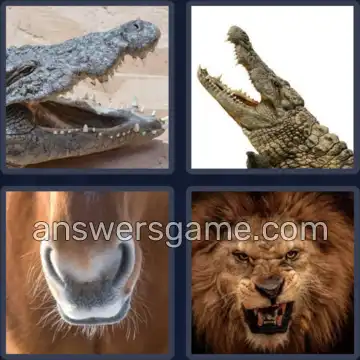 4 Bilder 1 Wort 4 Buchstaben MAUL