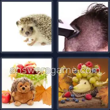 4 Bilder 1 Wort 4 Buchstaben IGEL