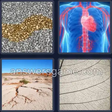 4 Bilder 1 Wort 4 Buchstaben ADER