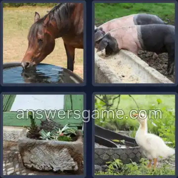 4 Bilder 1 Wort 4 Buchstaben TROG