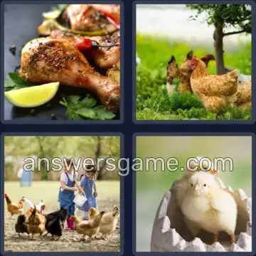 4 Bilder 1 Wort 4 Buchstaben HUHN