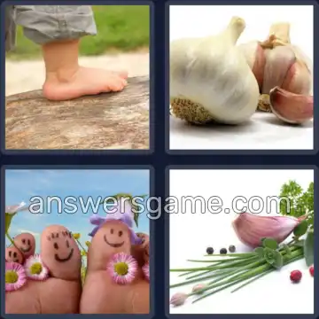 4 Bilder 1 Wort 4 Buchstaben ZEHE