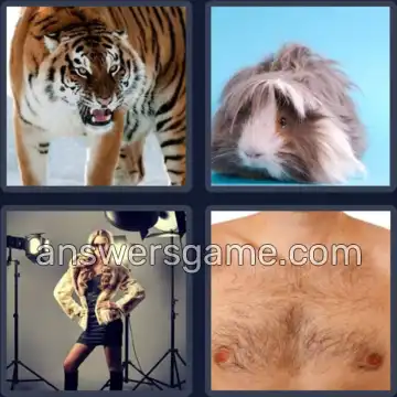 4 Bilder 1 Wort 4 Buchstaben FELL