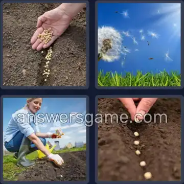 4 Bilder 1 Wort 4 Buchstaben SÄEN