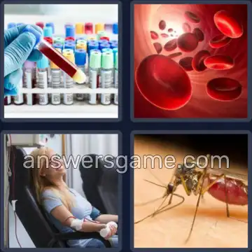 4 Bilder 1 Wort 4 Buchstaben BLUT