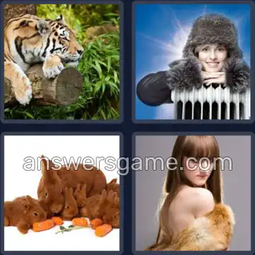 4 Bilder 1 Wort 4 Buchstaben PELZ