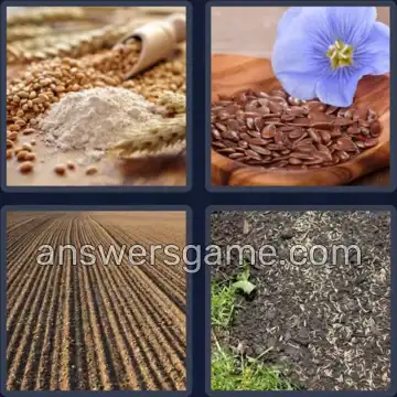 4 Bilder 1 Wort 4 Buchstaben SAAT