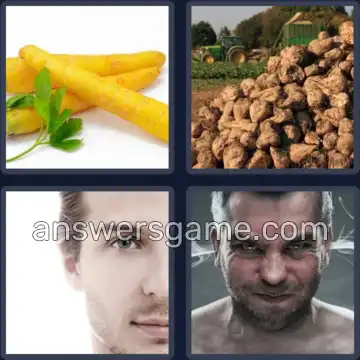 4 Bilder 1 Wort 4 Buchstaben RÜBE