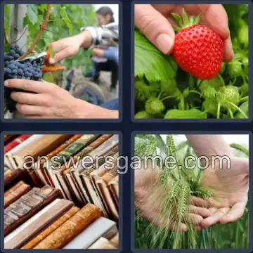 4 Bilder 1 Wort 4 Buchstaben LESE