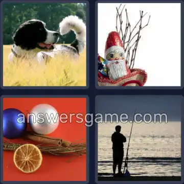 4 Bilder 1 Wort 4 Buchstaben RUTE