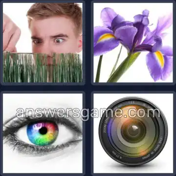 4 Bilder 1 Wort 4 Buchstaben IRIS