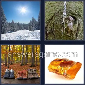 4 Bilder 1 Wort 4 Buchstaben HARZ