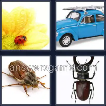 4 Bilder 1 Wort 5 Buchstaben KÄFER