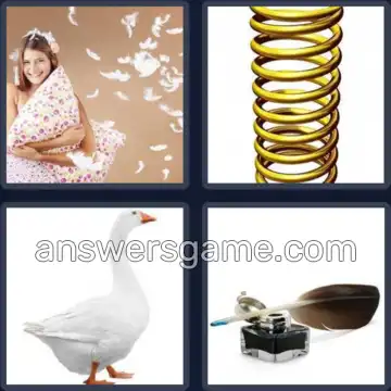 4 Bilder 1 Wort 5 Buchstaben FEDER