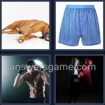 4 Bilder 1 Wort 5 Buchstaben BOXER