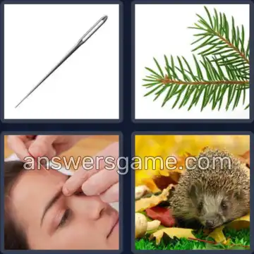 4 Bilder 1 Wort 5 Buchstaben NADEL