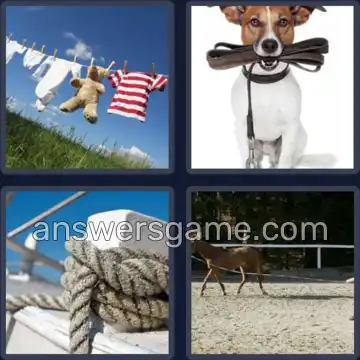 4 Bilder 1 Wort 5 Buchstaben LEINE