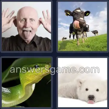 4 Bilder 1 Wort 5 Buchstaben ZUNGE