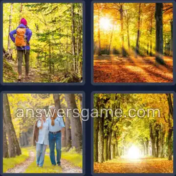 4 Bilder 1 Wort 5 Buchstaben BÄUME