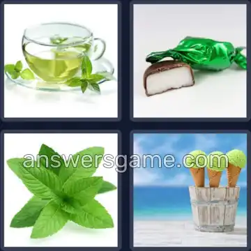 4 Bilder 1 Wort 5 Buchstaben MINZE