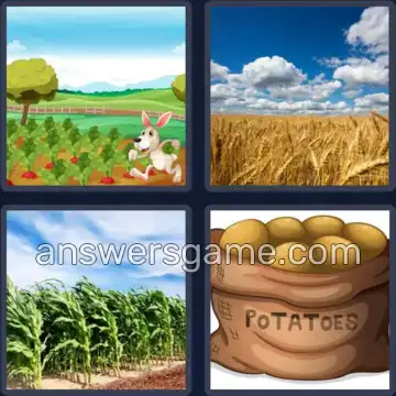 4 Bilder 1 Wort 5 Buchstaben ERNTE