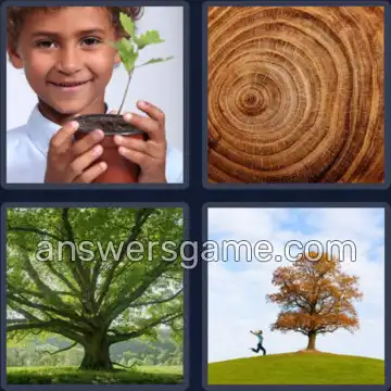 4 Bilder 1 Wort 5 Buchstaben EICHE