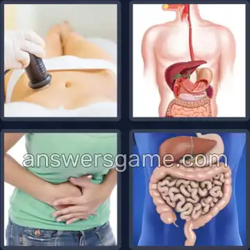 4 Bilder 1 Wort 5 Buchstaben MAGEN