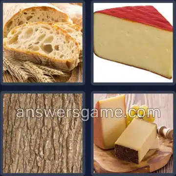 4 Bilder 1 Wort 5 Buchstaben RINDE