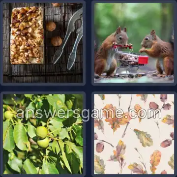 4 Bilder 1 Wort 5 Buchstaben NÜSSE