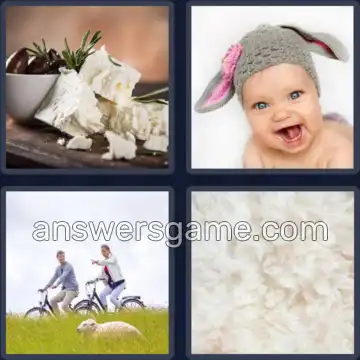 4 Bilder 1 Wort 5 Buchstaben SCHAF