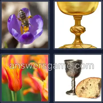 4 Bilder 1 Wort 5 Buchstaben KELCH