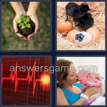 4 Bilder 1 Wort 5 Buchstaben LEBEN