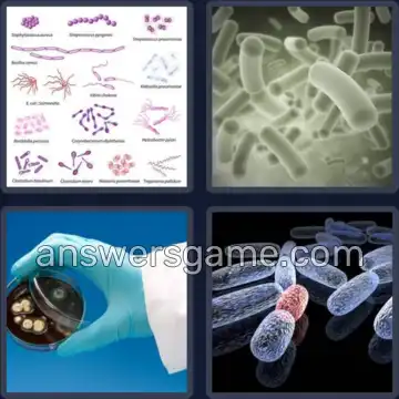 4 Bilder 1 Wort 5 Buchstaben KEIME