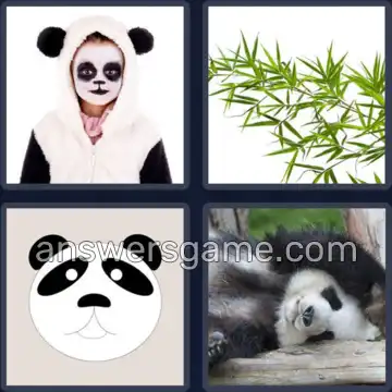 4 Bilder 1 Wort 5 Buchstaben PANDA