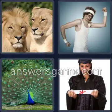 4 Bilder 1 Wort 5 Buchstaben STOLZ