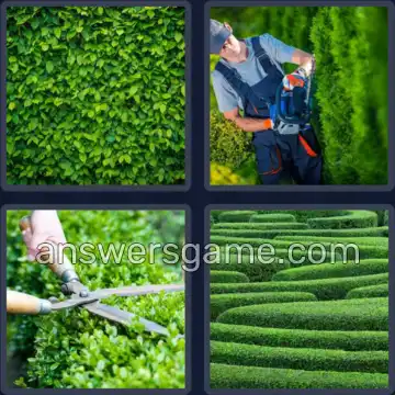 4 Bilder 1 Wort 5 Buchstaben HECKE